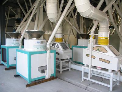 山西 連續(xù)自動化苦蕎茶成套加工項目