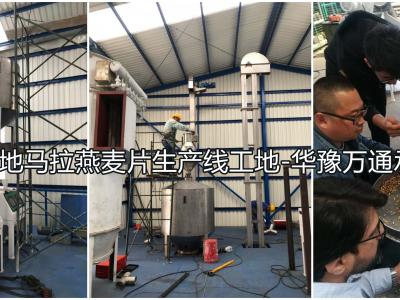 危地馬拉2噸燕麥脫殼1噸燕麥切粒壓片成套設(shè)備交付客戶使用